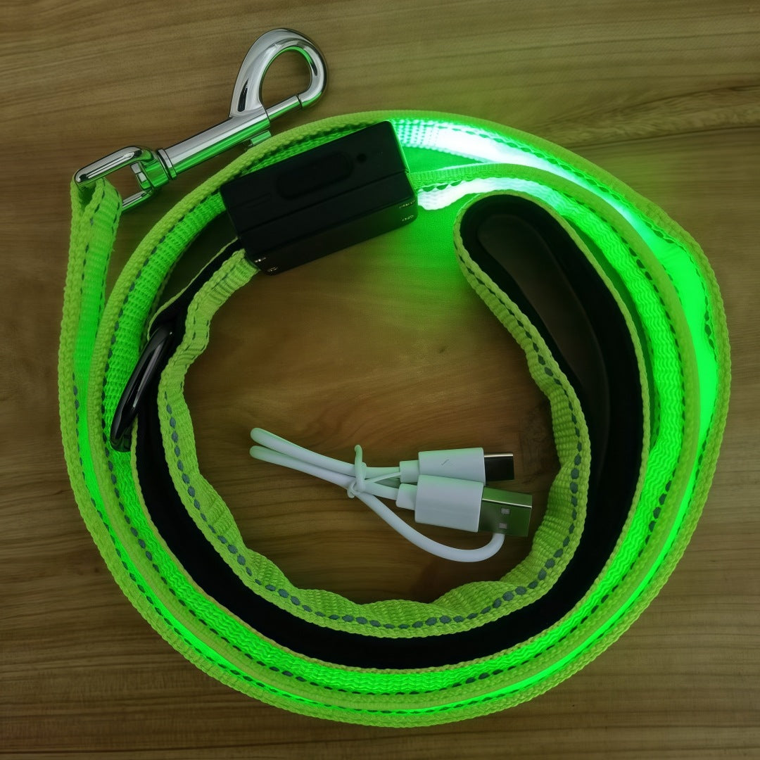 GlowStride USB LED Dog Leash