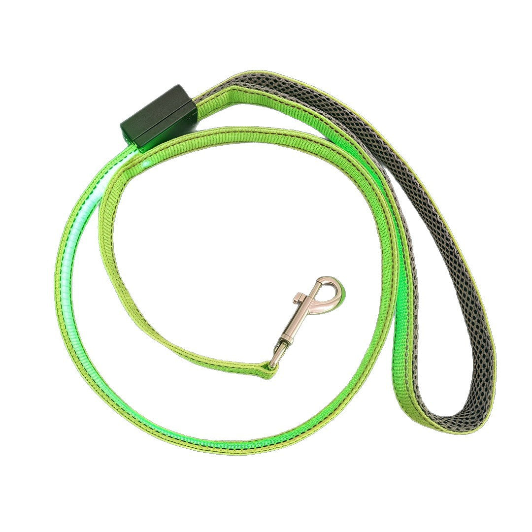 GlowStride USB LED Dog Leash