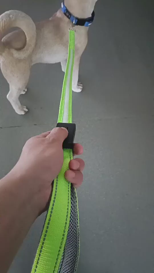 GlowStride USB LED Dog Leash